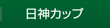 日神カップ